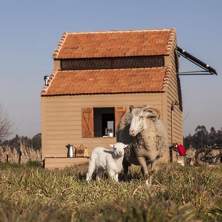 Be&See in Nature Ovar Exterior foto